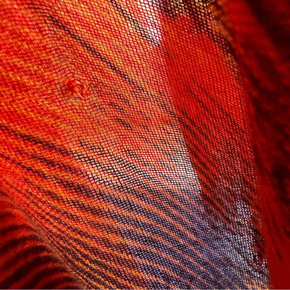 Target Colorful Feather Scarf/Wrap - Picture 5 of 7
